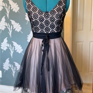 Elegant Black Lace Overlay Dress